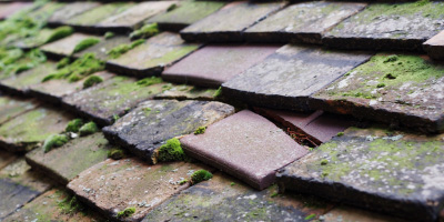 Morganstown roof repair costs